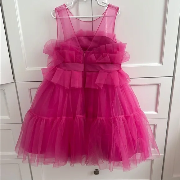 Pink Ruffled Tulle Dress - Picture 2 of 2